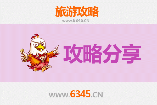 乌海乌达旅游攻略：跟团与自由行深度对比